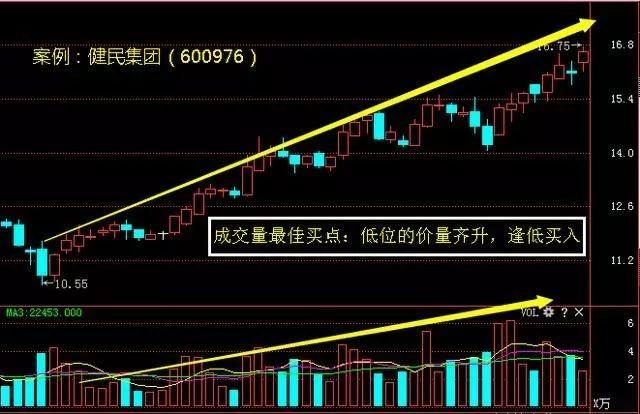 香港今晚开特马 开奖结果66期,香港今晚开特马，第66期开奖结果分析预测