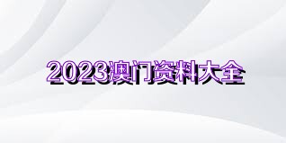 2024澳门资料大全正版资料,澳门资料大全正版资料，探索与揭秘