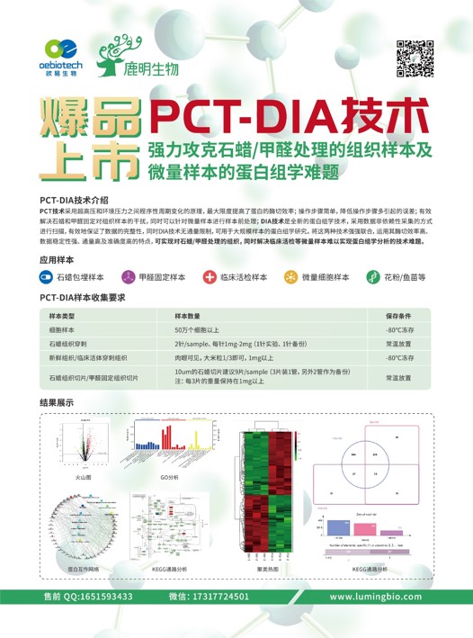 2024年12月 第14页