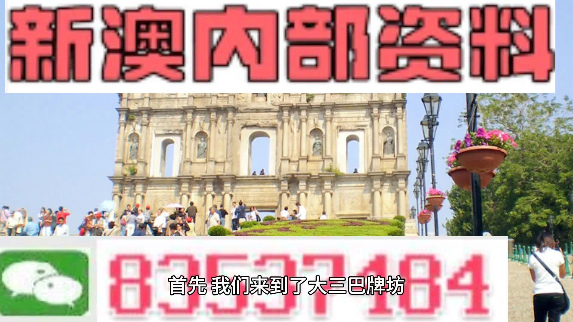 新澳2024年精准资料33期,新澳2024年精准资料解析，第33期展望