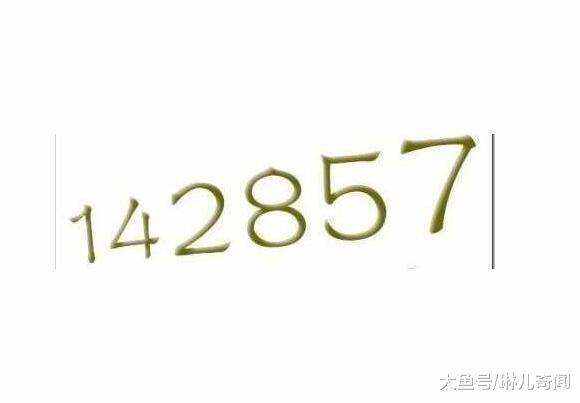 7777788888一肖一码,探索神秘数字组合，77777与88888一肖一码的魅力