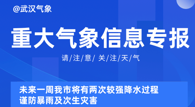 2025新奥资料免费精准175,探索未来，2025新奥资料免费精准共享之道（关键词，新奥资料、免费、精准、共享）