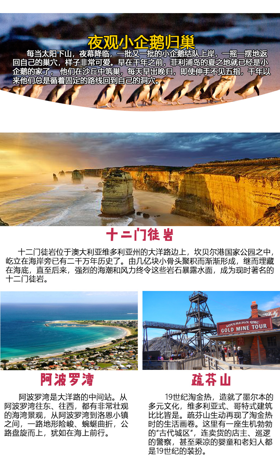 新澳天天开奖资料大全旅游团,新澳天天开奖资料大全旅游团——深度探索澳门的魅力之旅