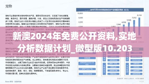 2025新澳今晚资料年05 期,探索未来之门，新澳今晚资料年展望（第05期）