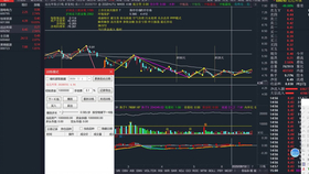 2025澳门特马今晚开奖一055期 02-06-23-31-34-45P：11,澳门特马今晚开奖一瞥，探索彩票背后的故事与期待