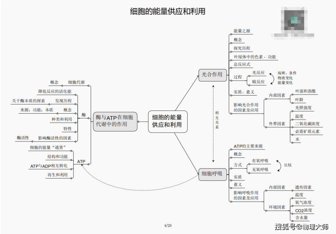 新澳门三期内必出生肖109期 01-10-13-19-41-46F：08,新澳门三期内必出生肖，探索背后的秘密与期待