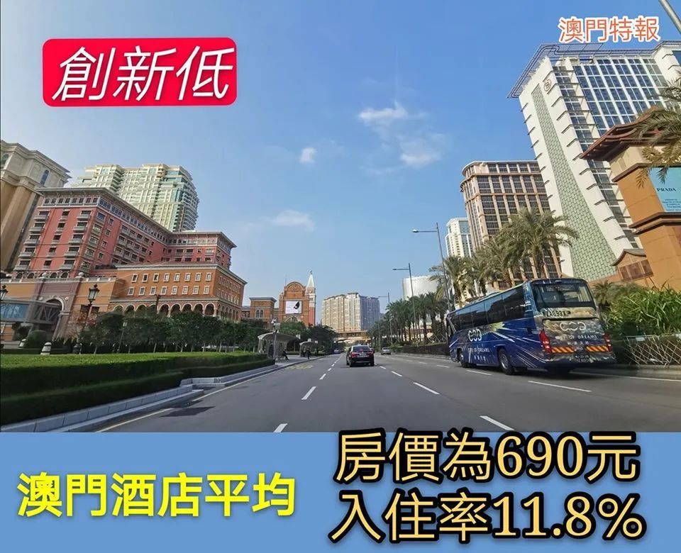 澳门新三码必中一免费043期 03-06-15-26-34-42Y：06,澳门新三码必中一免费解析，探索数字彩票中的奥秘与策略（第043期）